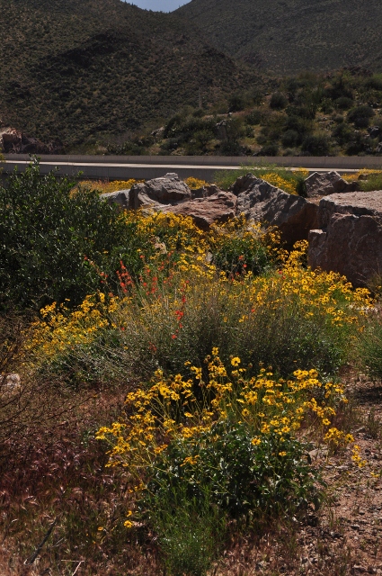 Lake Roosevelt